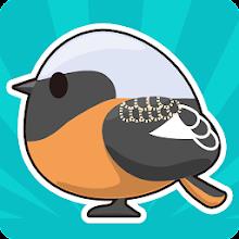 Tori Watch 2 - fluffy birds- APK