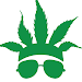 CannaBuzz - 420 Friends APK