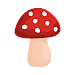 Shroomify - USA Mushroom Ident APK