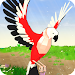 Parrot Simulator APK