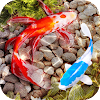 Fish Tank Live Wallpaper APK