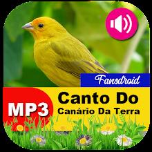 Canto Do Canário Da Terra APK