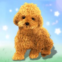 Talking Teddy Dog APK