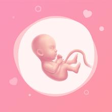 Pregnancy Tracker & Baby Guide APK