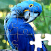 Jigsaw Puzzles - Puzzle Games APK