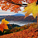 Falling Leaves Live Wallpaper APK