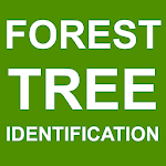 Forest Tree Identification APK