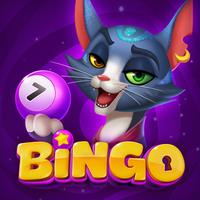 Bingo Haven APK