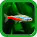 Tropical Aquarium - Mini Aqua APK