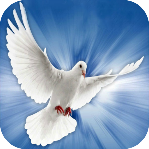 Espiritu Santo APK