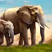 Wild Jungle Elephant Games APK