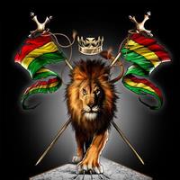 Rasta Wallpapers Reggae Images APK