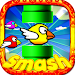 Fun Birds Game - Angry Smash APK