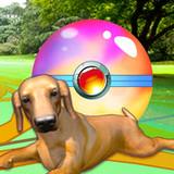 Puppy GO APK