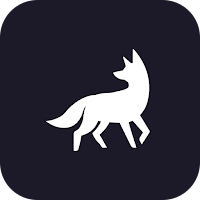 Foxy Proxy - Fox VPN APK