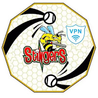 Stinger VPN APK