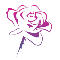 Rose ViP VPN APK