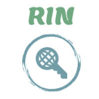 RIN VPN APK