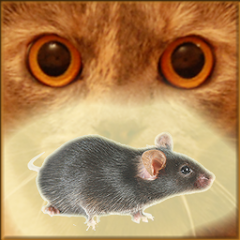 Mouse on the Screen for a Cat Mod APK
