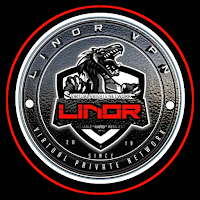 LINOR VPN TUNNEL APK