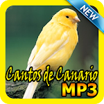 Cantos de Canario Mp3 APK