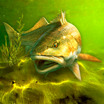 My Fishing World APK