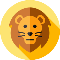 Lion vpn lite - private vpn APK