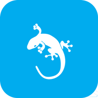 GeckoVPN - Free Unlimited VPN APK