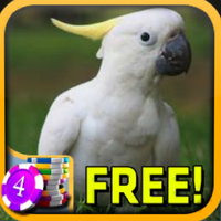 3D Cockatoo Slots - Free APK