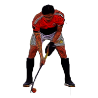 Hockey Indoor Basic Techniques APK