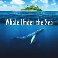 Cool Theme Whale Under the Sea APK