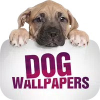 Wallpapers with dogs in 4K APK