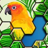 Jigsaw Puzzles Hexa APK