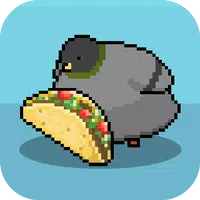 Pigeon Raising APK