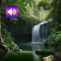 Rainforest: Sounds & Ringtones APK