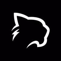 Puma Browser: Ai chat, summary APK