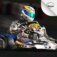 Kart Racing Ultimate APK