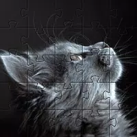 Cats jigsaw puzzles kittens  APK