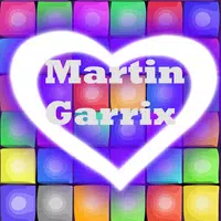 Martin Garrix In The Name Of L APK