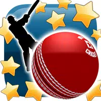 New Star: Cricket APK