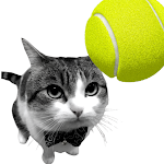 Cat Tennis APK