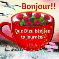 Bonjour Bonsoir Bonne Nuit APK