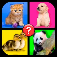 4 images 1 word: Word Games  APK