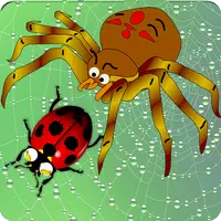 Home of Angry Spider APK