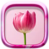 Picture Puzzle: Flowers  APK