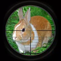 Rabbit Hunting 3D  APK