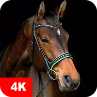 Horse Wallpapers 4K APK