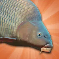 Carp Fishing Simulator  APK