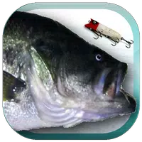 Lure Nushi Fishing  APK