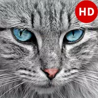 Farm Animal Sounds  APK